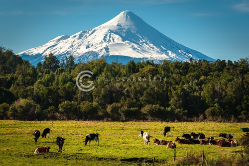 Imagen 10 de 20 de Parcelas Cercanas A Puerto Varas - Entre Volcanes