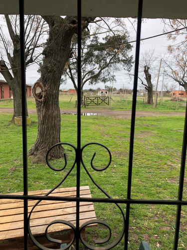 Imagen 7 de 10 de Se Alquila 8 Caballerizas Vareador Casa De Casero