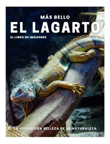 El Mas Bello Lagarto: Un Libro De Imagenes De Lagartos De To