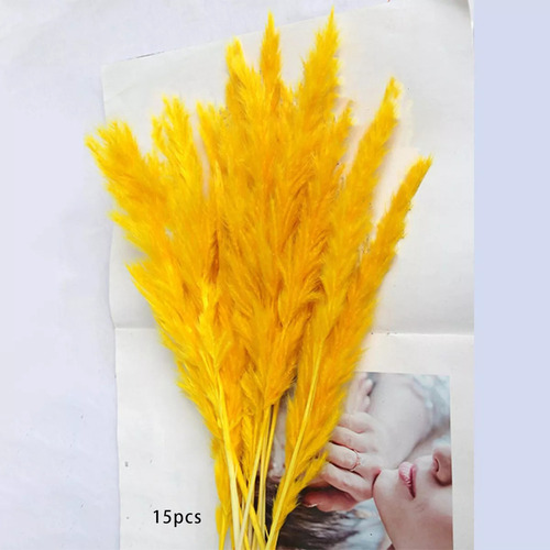 15 Piezas De Hierba De Pampa Seca Artificial Para Jarrón Fl