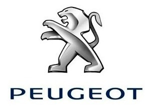 Bomba De Combustible Partson Peugeot 206 1.6 307 2.0 Citroen