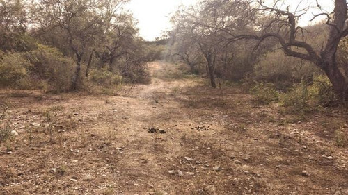 Imagen 24 de 30 de Terrenos Desde 3 Mil M2 A 1 Hectarea En Venta En San Javier, Traslasierras