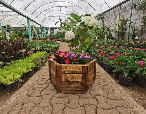 Maceta De Madera Tipo Jardinera Hexagonal