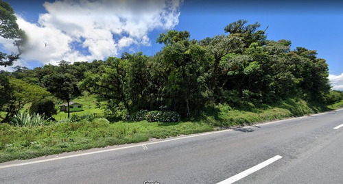 Imagem 2 de 3 de Sítio / Chácara Para Venda Em São José Dos Pinhais, Parque Da Fonte - 159_2-1609043