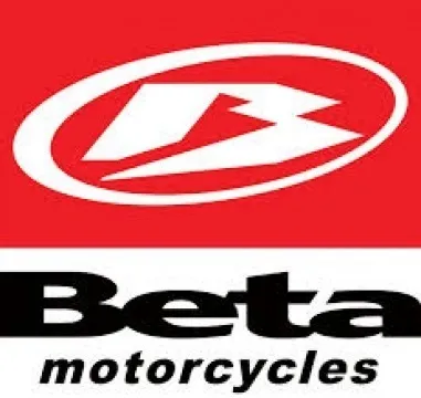 Pedal Freno Beta Motard/tr 250 Original Auximoto Repuestos