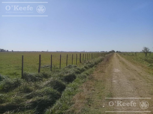 Imagen 18 de 25 de Campo Mixto De 75 Has - Buen Acceso A 3 Km De Ruta 215 - A 1 Hs De Caba