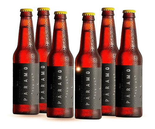 Six Pack Cerveza Artesanal Colimita Paramo 355ml C/u