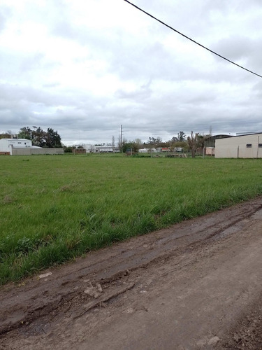 Imagen 5 de 9 de Lote En Venta- Importantes Medidas.