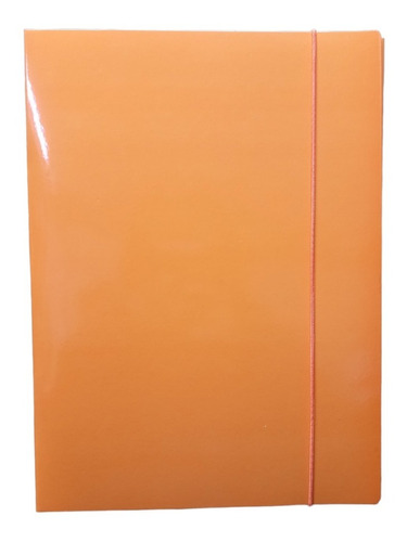 Carpeta Organizadora De Carton Duro 35,5x26cm Colores