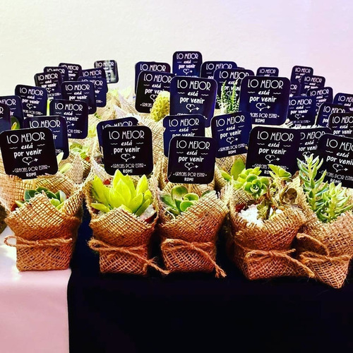Imagen 9 de 11 de 10 Mini Cactus Suculentas Souvenir Eventos Cumple Isiflor