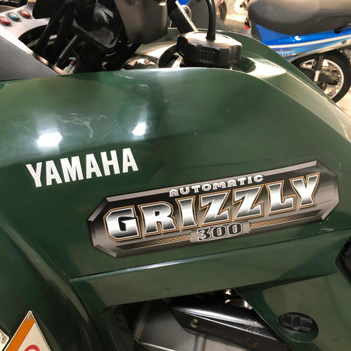 Imagen 9 de 15 de Yamaha Grizzly 300 Usado Cuatriciclo Automatico