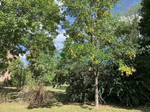 Imagen 6 de 10 de Terreno Venta Club De Campo San Francisco Manzanares Pilar