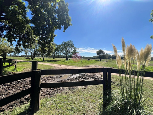 Terreno Campo En Venta En Ruta 28, Pilar, G.b.a. Zona Norte