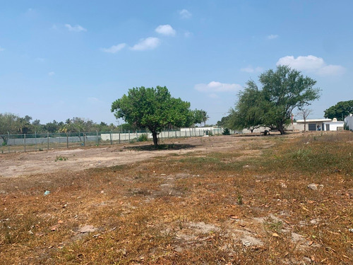 Imagen 7 de 13 de Terreno En Venta O Renta En Veracruz Magnifica Ubicación