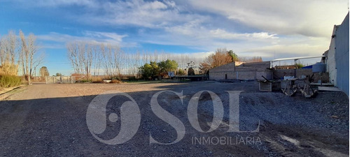 Imagen 19 de 30 de Galpón 1500 M2 En Allen