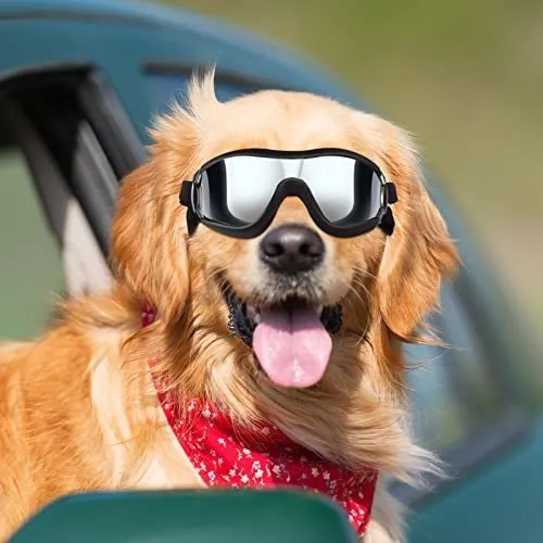 Gafas de sol para perros new arrivals