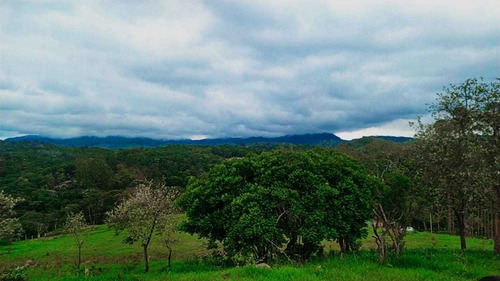 Imagem 2 de 14 de 31-+ Adquira Já Terreno A Venda Em Arujá
