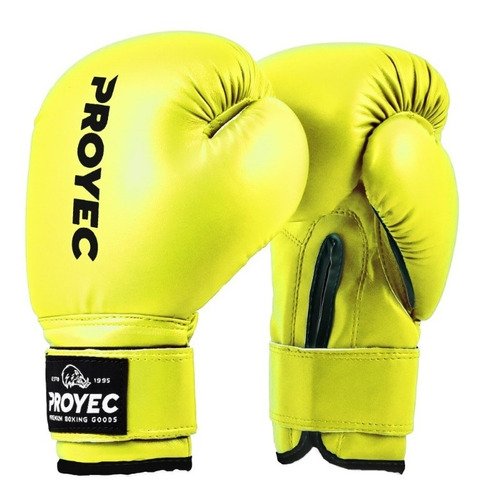 Guantes Boxeo Junior Proyec Infantiles Abrojo Amateur Box