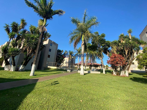Imagem 17 de 17 de Apartamento Para Alugar, 42 M² Por R$ 550,00/mês - Monte Belo - Londrina/pr - Ap1409