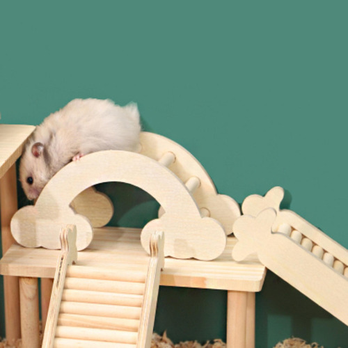 Puente Para Hámster, Escalera Para Escalera En Forma De M