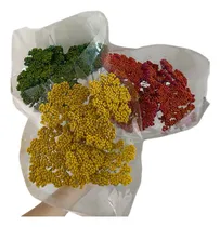 Comprar Ramo Flores Secas Achilea Teñida - Artesanías El Altillo