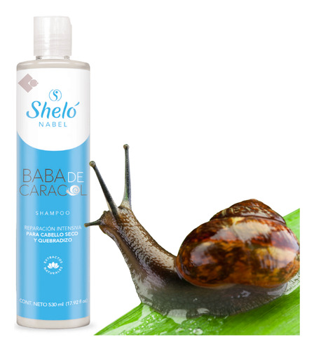 Shampoo Baba De Caracol Cabello Seco Y Quebradizo 530ml