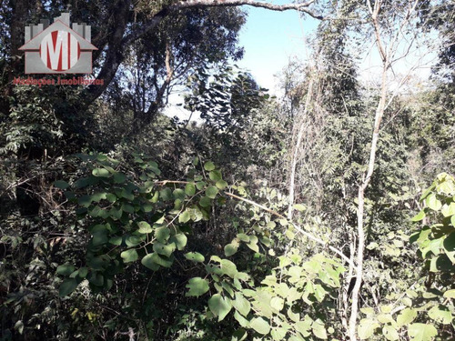 Imagem 25 de 26 de Chácara Simples Com 02 Dormitórios À Venda, 16000 M² Por R$ 230.000 - Zona Rural - Socorro/sp - Ch0493