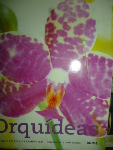 Orquideas Emma Y Brian Rittershausen X