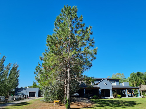 Casa Quinta En Arana-la Plata 8750m2 Excelente Zona