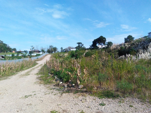 Imagem 1 de 2 de Terreno - Sao Giacomo - Ref: 7347 - V-7347