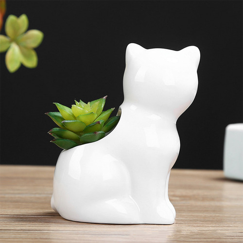 Maceta De Cerámica Con Forma De Gato, Soporte Para Bonsáis