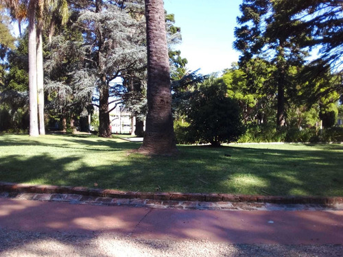 Oficina Sosa - Apto Amplio 1 Dormitorio En Town Park.