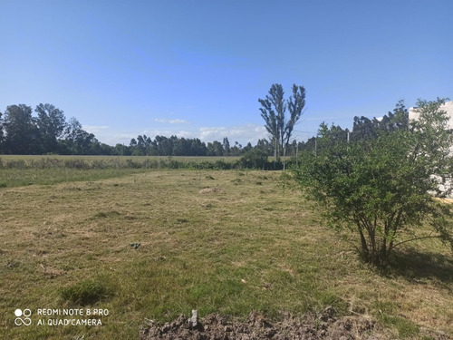 Imagen 6 de 7 de Vendo Linda Chacra, Casa, Monte Sobre Ruta 11 Financio, Consulte!!!!