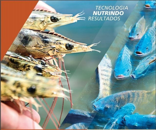 Imagem 7 de 10 de Kit Tanque 75m3 + Soprador+ Unid De Aeração+ Colar+ Curso