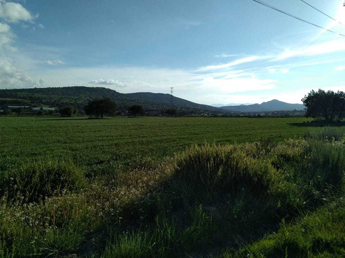 Imagen 3 de 4 de Lote De 3.5 O 7 Hectáreas En Epazoyucan A 20 Min De Pachuca