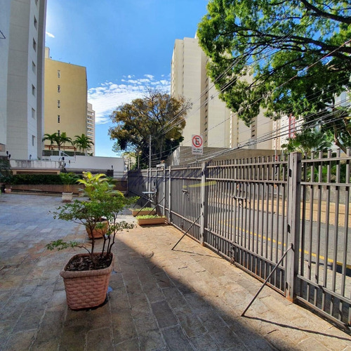 Imagem 9 de 12 de Apartamento Para Aluguel Em Vila Itapura - Ap001700