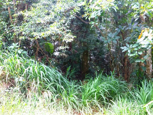 Imagem 3 de 8 de Terreno Na Serra Da Cantareira - Condomínio Parque Petrópoli