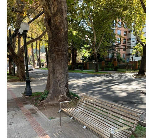 Imagen 5 de 10 de Tres Estacionamientos Contiguos