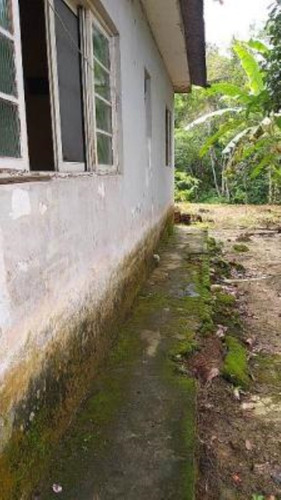 Imagem 13 de 20 de Chácara Com Plantação De Milho, Feijão, Mandioca, Possui Rio Nos Fundos E Com 37000 M² De Área Total, No Bairro Armando Cunha, Em Peruíbe, Analisa Veículo Como Parte Do Pagamento Ref: 8683/ac