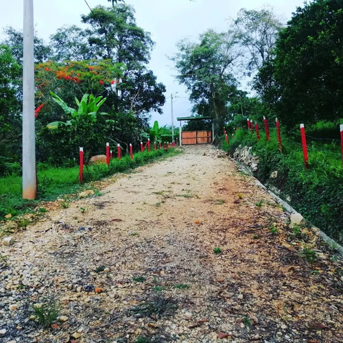 Lotes En Viotá Cundinamarca, Escritura Pública Independiente