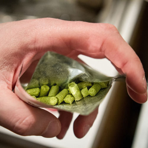 Lúpulo Citra - 50g