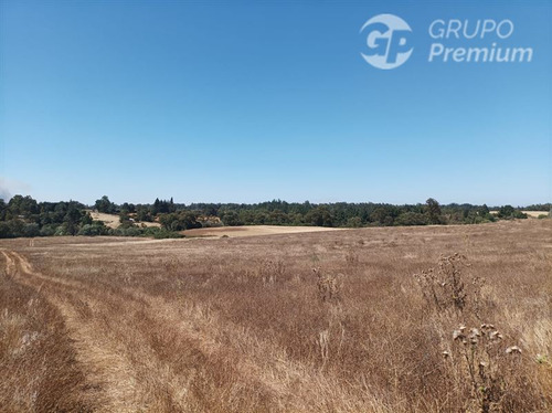 Imagen 10 de 17 de Terreno Agrícola En Venta En Victoria