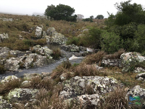 Imagen 3 de 12 de 193 Has Sobre Ruta 12, Arroyo, Monte Nativo A 15 Kms De P. Edén - Zona Rural