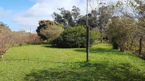 Imagem 7 de 15 de Terreno/sítio - 4365
