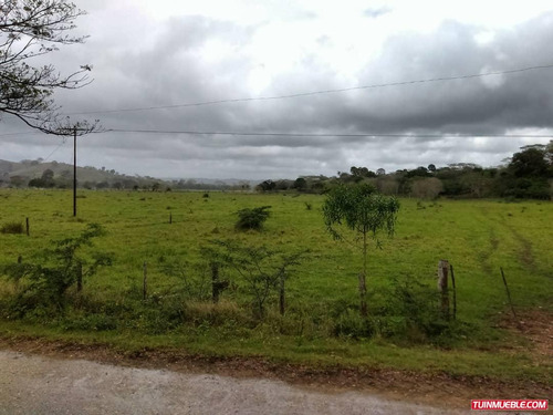 Imagen 2 de 7 de Haciendas - Fincas En Venta