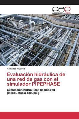 Libro Evaluacion Hidraulica De Una Red De Gas Con El Simu...