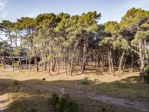 Imagen 1 de 11 de Nuevas Condiciones !! Lote En Venta - Alamos Ii Pinamar