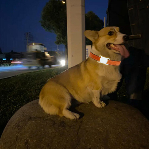 Collar De Seguimiento De Mascotas Dispositivo Antipérdida In