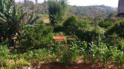Chácara - São Roque - Mg - Ch0768