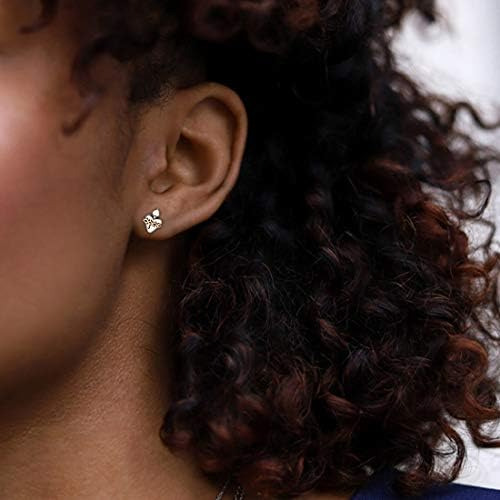 Pendientes De Plata De Ley Para Mujer, Hipoalergénicos, De Y